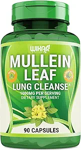 Mullein Leaf Capsules - 90 Capsules - Le supplément à base de plantes soutient la fonction respiratoire saine et les membranes muqueuses - 1000 mg - Mullein naturel pour le nettoyage pulmonaire