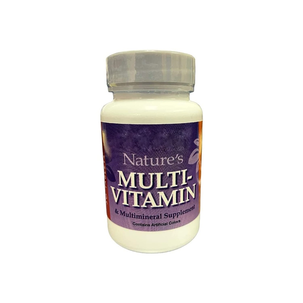 Nutmeg State Nutrition HealthyWise Nature's Multivitamins & Mineral Dietary Supplement for Immune Support, 30 Day Supply, Vitamins A, C, D, E, B, Zinc