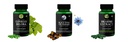 Ginkgo-biloba, Black-seed, Brahmi Combo | Convenient Nutrition & Wellness Routine | Multi-Product Pack