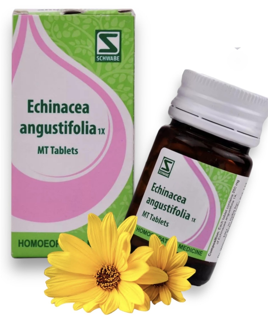 Willmar Schwabe Echinacea Angustifolia 1X Tablets Homeopathy -20g Set of 1 Bottle
