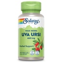 SOLARAY Uva Ursi Leaf 460 mg (env. 3 jours)