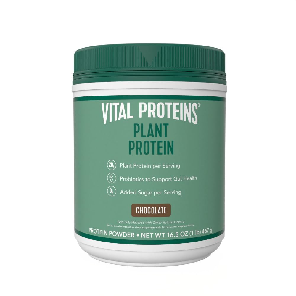 Protéines vitales Poudre de protéines – 20g Protéines à base de plantes avec du pois chiche – 1B CFU Probiotique pour la santé des coqs, Pas de sucre ajouté – Chocolat, 16,5 oz