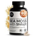 Capsules de mousse de mer et de chilajit de l'Atlantique naturel – 5-en-1 Seamoss Shilajit Combo avec Bladderwrack, Burdock Root & Black Pepper – Suppléments de mousse de mer pour l'absorption et la vitalité – 2705 mg – 60 Compte