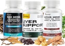 Moss, huile de graines noires, supplément de champignons et d'herbes avec Lions Mane, Turquie Tail, Reishi, Cordyceps, Chaga, et le foie nettoyer et detox & réparation - avec le chardon de lait, All In One Complément (3 paquets).