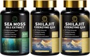 Capsules de mousse de mer et de chilajit pour les hommes et les femmes, Tous en 1 suppléments avec Shilajit, Moss de mer, Coenzyme Q10, Graine noire, Ashwagandha, Burdock pour l'énergie, Antioxydant & Immmune Support