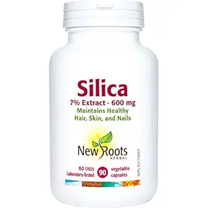 NEW ROOTS HERBAL Silica 7% Extrait 600Mg, 90 CT
