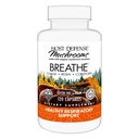 Host Defense Breathe* Capsules - Supplément de champignons immunitaires et respiratoires - Supplément de santé pulmonaire à base de plantes avec Chaga, Reishi et Cordyceps - 120 Capsules (60 portions)*