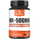 NAD+ Supplément avec le riboside de la nicotinamide 500mg - Énergie et réparation cellulaire, Vieillissement en santé, Bien-être - 90 Capsules - 3 mois d'approvisionnement