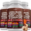 NEW AGE Lions Mane Mushroom Supplément avec la dinde Tail Reishi Cordyceps Chaga avec Marshmallow Root 180 Comte