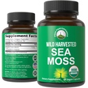 Capsules de mousse de mer biologique. Supplément végétalien biologique cru de la mousse de mer sauvage récoltée par les algues rouges. Extrait 100% cru Irish SeaMoss Superfood Pills. pour Gut, Respiratoire, Immuni Support.