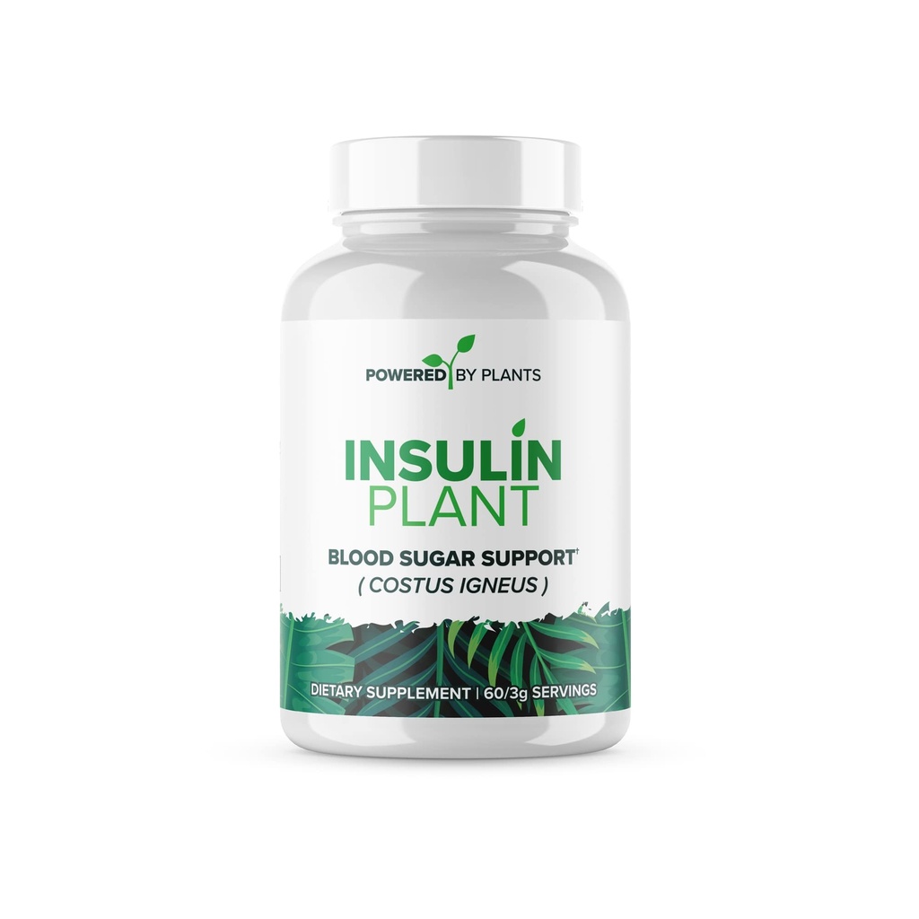 Capsules de plante d'insuline - 3000mg Costus Igneus Poudre de feuille avec aucun liant, remplissage et gluten - Vegan, Suppléments non OGM pour les femmes et les hommes par Powered X Plants, 240 Capsules