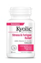 Extrait d'ail kyolique, formule 101, soulagement du stress et de la fatigue, 100 comprimés.