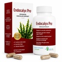 Endocalyx Pro Supplement – Endothélial Glycocalyx Support 120 Capsules - Santé vasculaire et microcirculation – Études cliniques – Breveté – Soutien des fonctions d'oxyde nitrique