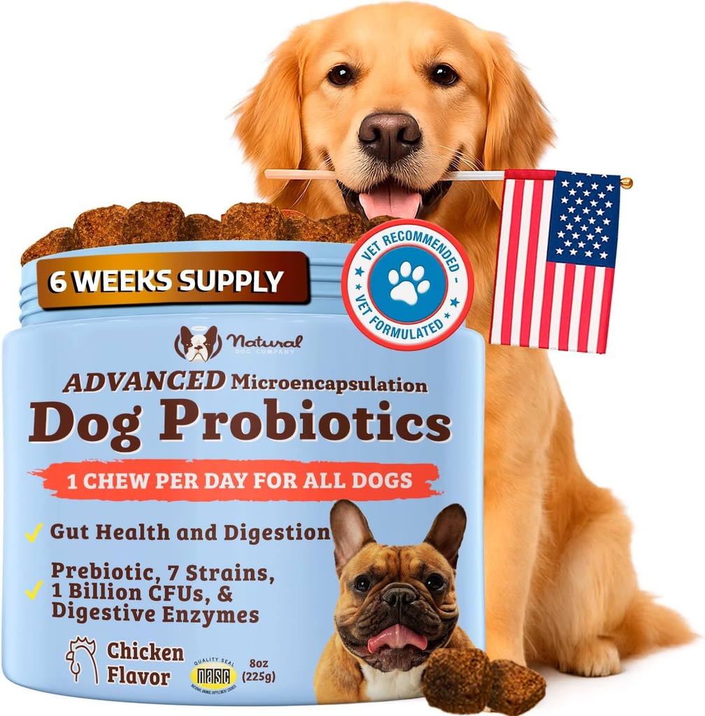 Natural Dog Company Gut Health & Canine Specific Probiotics Chews, 1 chaque jour Chew pour tous les chiens, prébiotiques et enzymes digestives pour la digestion, le gaz, le tabouret perdu, le système immunitaire et le soutien Bowel