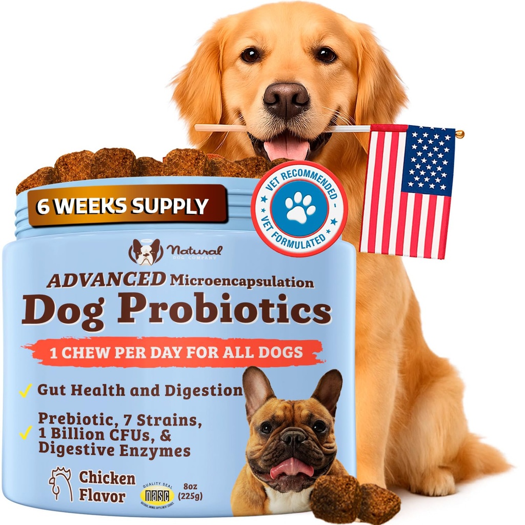 Natural Dog Company Gut Health & Canine Specific Probiotics Chews, 1 chaque jour Chew pour tous les chiens, prébiotiques et enzymes digestives pour la digestion, le gaz, le tabouret perdu, le système immunitaire et le soutien Bowel