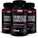 FORCE FACTOR Tribulus Terrestris pour hommes, 3-Pack, Tribulus Testostérone Booster pour hommes, Supplément Vitalité Homme, Extrait de Tribulus et ingrédients naturels pour Absorption Supérieure, 1000mg, 180 Capsules