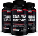 FORCE FACTOR Tribulus Terrestris pour hommes, 3-Pack, Tribulus Testostérone Booster pour hommes, Supplément Vitalité Homme, Extrait de Tribulus et ingrédients naturels pour Absorption Supérieure, 1000mg, 180 Capsules