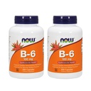 Vitamine B-6 100mg 250 Capsules (paquet de 2)