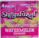 Proprietary Nootropic Gummy 3200mg - Lion's Mane, Reishi, Chaga, and Cordycep Nootropic Tripee Mushroom Blend (4, Watermelon)