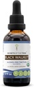 Secrets de la Tribe Black Walnut USDA Organic..Extrait sans alcool, gouttes à base de plantes de haute puissance. Fabriqué à partir de 100% de noix noires certifiées biologique (Juglans Nigra)