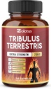 Tribulus Terrestris Capsules avec Ashwagndha, Panax Ginseng, Saw Palmetto, Maca, Shilajit - 90 Capsules - 3 mois d'approvisionnement