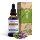 Bugleweed USDA Organic (extrait d'alcool-FREE, gouttes d'herbe à haute puissance, système respiratoire) Fabriqué à partir de bugleweed biologique 100% certifié (Ze Lan, Lycopus Virginicus) Herbe séchée (2 FL OZ)