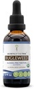 Bugleweed USDA Organic (extrait d'alcool-FREE, gouttes d'herbe à haute puissance, système respiratoire) Fabriqué à partir de bugleweed biologique 100% certifié (Ze Lan, Lycopus Virginicus) Herbe séchée (2 FL OZ)