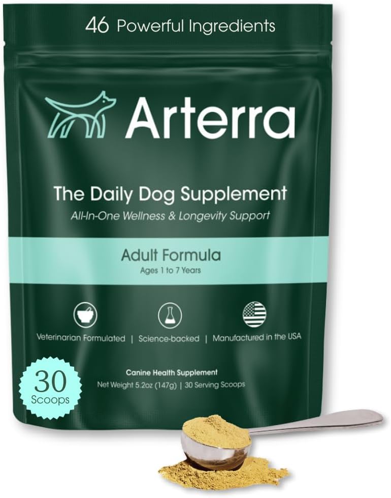 Supplément de poudre pour chien adulte et topper alimentaire – 46 ingrédients pour la santé de la peau, de l'Immune et du cerveau – multivitamine quotidienne longuevitamine pour le bien-être du corps entier