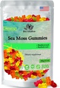 Moussole de mer Gummies - Mer irlandaise Moss cru Organique, Bladderwrack, root de Burdock. Contient gel de mousse de mer et poudre. Superaliments pour Vegan, Keto et Dr Sebi Diet. Immune Boosting (1, original)