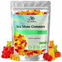 Moussole de mer Gummies - Mer irlandaise Moss cru Organique, Bladderwrack, root de Burdock. Contient gel de mousse de mer et poudre. Superaliments pour Vegan, Keto et Dr Sebi Diet. Immune Boosting (1, original)