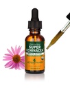 Herb Pharm Certified Organic Super Echinacea Liquid Extract for Active Imune System Support - 1 once (DSUPER01)