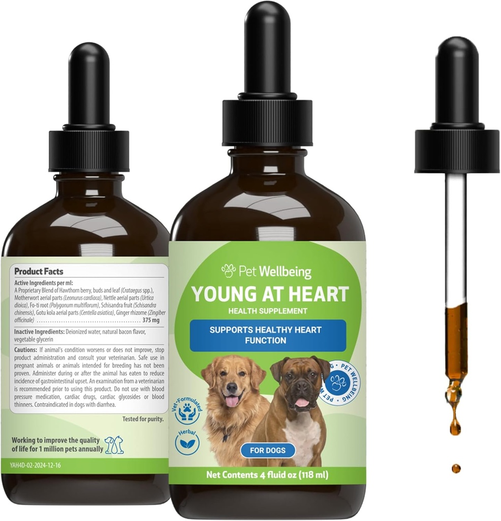 Bien-être des animaux Jeune au coeur pour chiens - Santé cardiaque, système circulatoire et cardiovasculaire, Hawthorn, Motherwort, Schisandra - Supplément à base de plantes vétérinaires 4 fl oz (118 ml)
