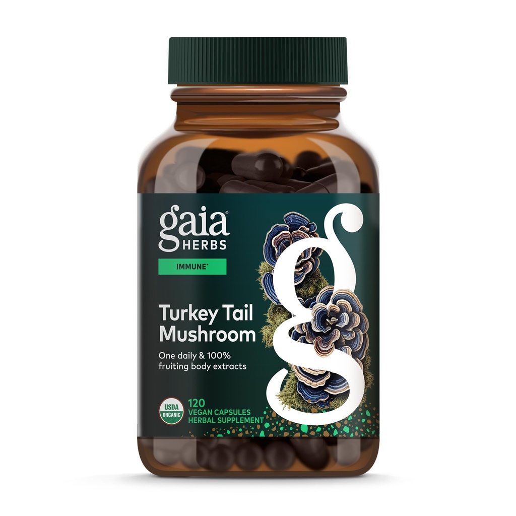 Gaia Herbes Turkey Tail Mushroom - Supplément de soutien immunitaire pour aider à maintenir la santé du foie - avec la dinde biologique Tail Mushroom Fruiting Body Extract - 120 Capsules Vegan