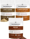 Real Mushrooms Peak Performance Bundle - Lion's Mane + Reishi + Cordyceps-M Certified Bio Mushroom Poudres pour la vitalité, l'immunité et la longévité