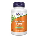 MAINTENANT Compléments alimentaires, Berry Hawthorn 540 mg, Récupérateur Radical libre*, Supplément à base de plantes, 100 gélules
