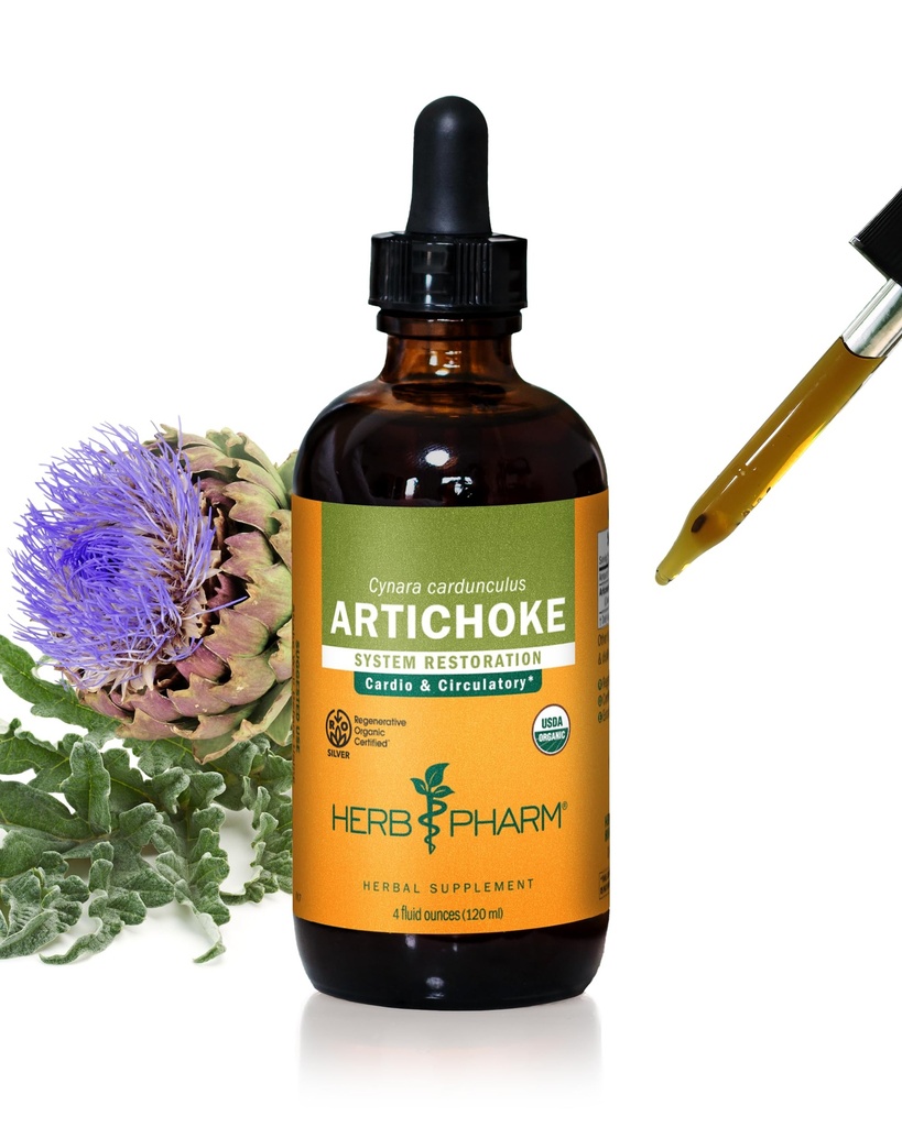 Extrait liquide d'artichaut biologique certifié Herb Pharm pour support cardio-vasculaire et circulatoire - 4 Once