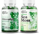Gommies de chlorophylle sauvage et biologique et Gommies de mousse de mer