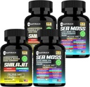 Sea Moss Black Seed Oil Capsules de gingembre Ashwagandha, Supplément avec supplément de curcuma et de gingembre Bladderwrack Root Organic,ACV Black Seed Oil - 240 Sea Moss Capsules