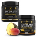 HRDWRK - 100 portions Kéto Electrolytes Poudre d'hydratation sans sucre - Poudre d'électrolyte pour stimuler l'endurance et réduire la fatigue avec supplément d'électrolytes - Ensemble d'ananas non aromatisés et mangues