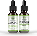 Benevolent Chlorophylle Liquid Drops + Irish Sea Moss Drops 2oz, 4 mois Supplement Chlorophylle liquide pour désodorisant interne et peau radiante
