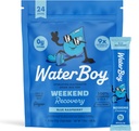 Waterboy Weekend Recovery (en anglais seulement) 3 200mg Électrolyte Powder Packets (en anglais seulement) Ginger + L-Theanine + Vitamines (en anglais seulement) Pas de sucre, tout naturel, sans gluten