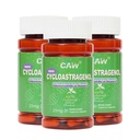 CAW Nano Cycloastragenol 98% 25mg 30 capsules Activation de la télomérase Réparation de l'ADN