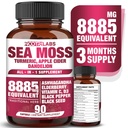 All-in-1 8885mg Moss de mer de puissance la plus élevée, Graines noires, Ashwagandha, Turmeric, vinaigre de cidre de pomme, Dandelion avec Elderberry, Vitamine C & D3 - Immune, supplément de soutien énergétique - 90 capsules végétaliennes
