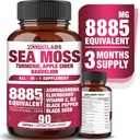 All-in-1 8885mg Moss de mer de puissance la plus élevée, Graines noires, Ashwagandha, Turmeric, vinaigre de cidre de pomme, Dandelion avec Elderberry, Vitamine C & D3 - Immune, supplément de soutien énergétique - 90 capsules végétaliennes