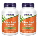 Maintenant Aliments Extrait de feuille d'olive 500mg Standardisé à 6% Oleuropein, 120 Vcaps (2 Pack)