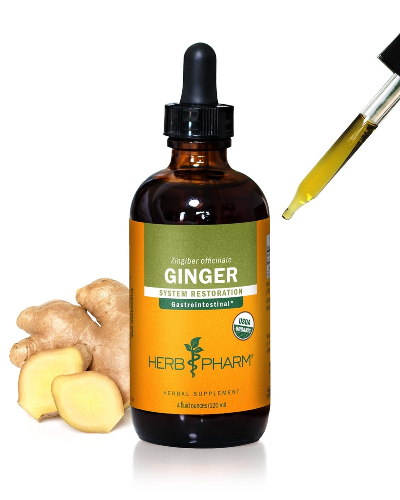 USDA Extrait de racine de gingembre biologique*: Digestion et support circulatoire