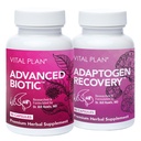 Vital Plan Suppléments de soutien immunitaire par Dr. Bill Rawls – Imune Boost Bundle w/Japanese Knotweed, Cats Claw, Chinese Skullcap & Reishi Mushroom