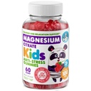 DR. MORITZ Gummies de magnésium calme sans sucre pour les enfants et les adultes - Gummies de magnésium non-OGM pour les enfants - Arôme de framboise - 1-paquet (60 Nombre)