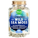 MAJU 4-en-1 Capsules de mousse de mer biologique, Crispus de Chondrus sauvage, Seamoss w/Bladderwrack + racine de dard, plus forte que le gel, Irlandais, Sebi inspiré poudre brute dans les pilules, 500 mg Capsule (60 ct)