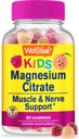 Eh bien oui Citrate de magnésium Gummies pour les enfants - Supplément anti-stress chiable pour les enfants - Calme naturel, support d'humeur, non-OGM, sans gluten - Saveurs naturelles - 60 Gummies